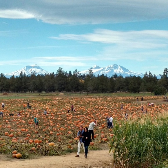 Meet your Posher, Cassandra - Picture 3 of 3